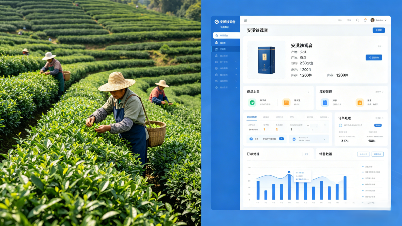 安溪电商网站开发，需要具备哪些核心功能？